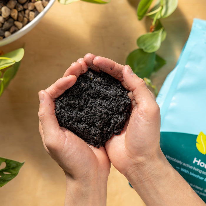4qt Organic Potting Soil Mix, Indoor, Houseplant & Herbs