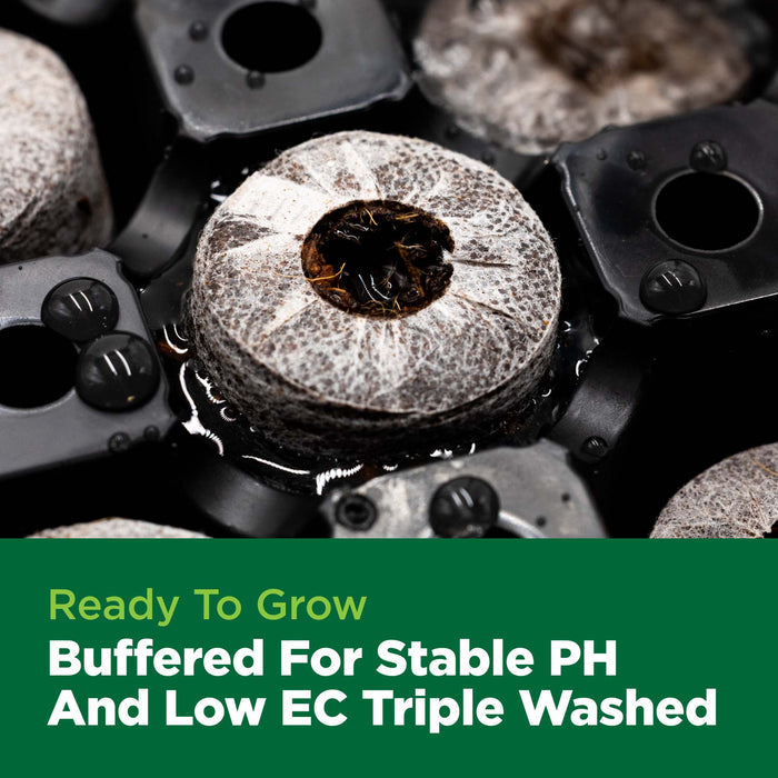 Close-up of a seedling with text about pH and EC levels on a green background