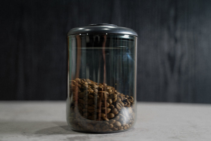 Airtight coffee storage container holding whole bean coffee