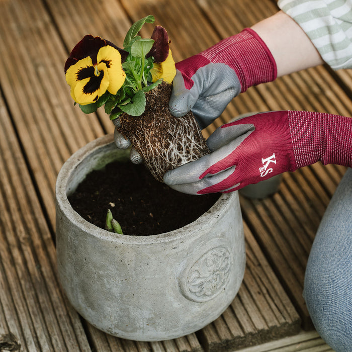 Kent & Stowe All Round Triple Pack Gloves Plum holding a plant
