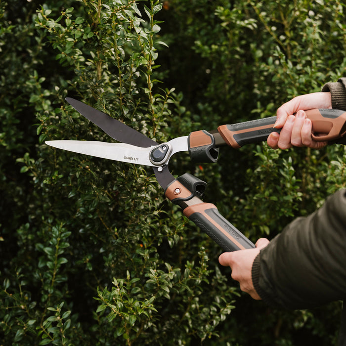 Kent & Stowe Garden Life Box Shears cutting hedge