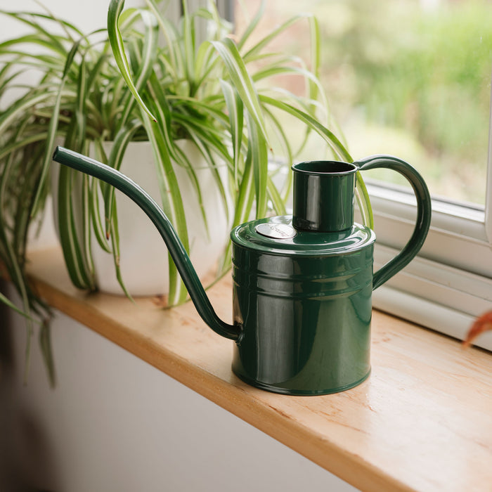 Kent & Stowe Indoor Metal Watering Can Forest Green 1ltr on windowsill
