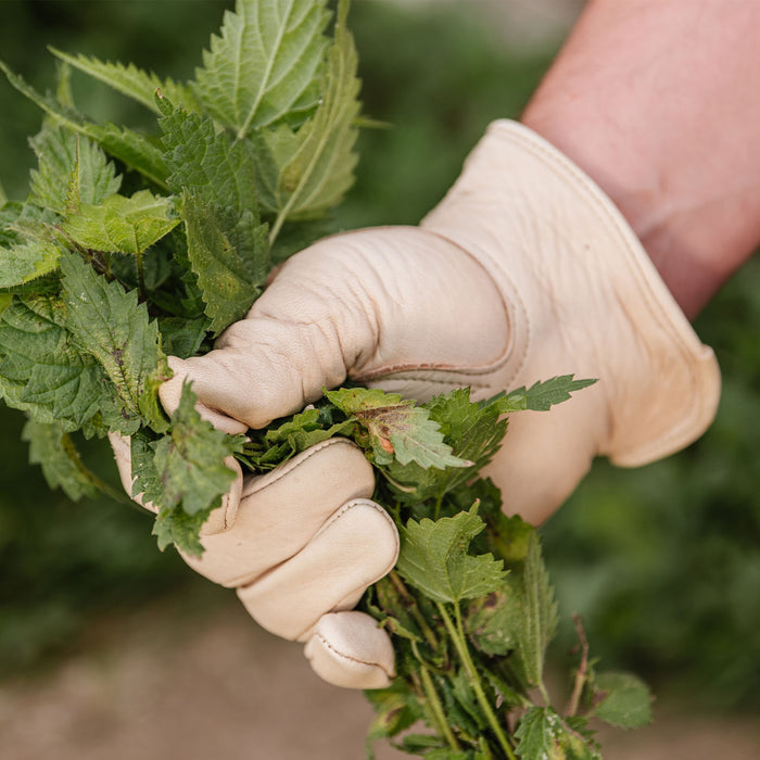 Kent & Stowe Luxury Leather Water Resistant Gloves holding weeds