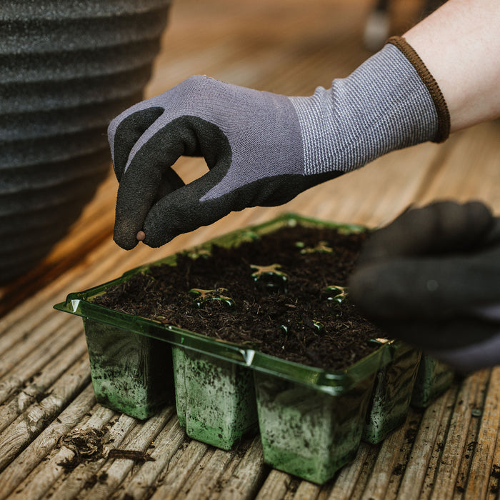 Person wearing gardening gloves handling a seedling tray on a wooden surface wearing seed and weed gloves