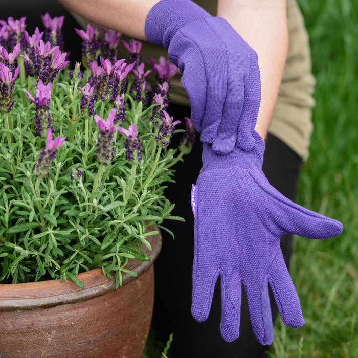 Kent & Stowe Purple Jersey Cotton Grip Gloves in use