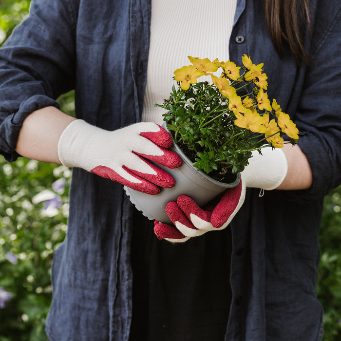 Kent & Stowe Rumba Red Natural Bamboo Gloves holding plant