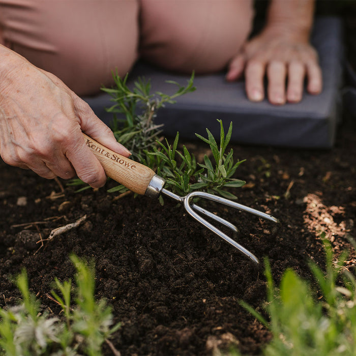 Kent & Stowe Stainless Steel Hand 3 Prong Cultivator in soil