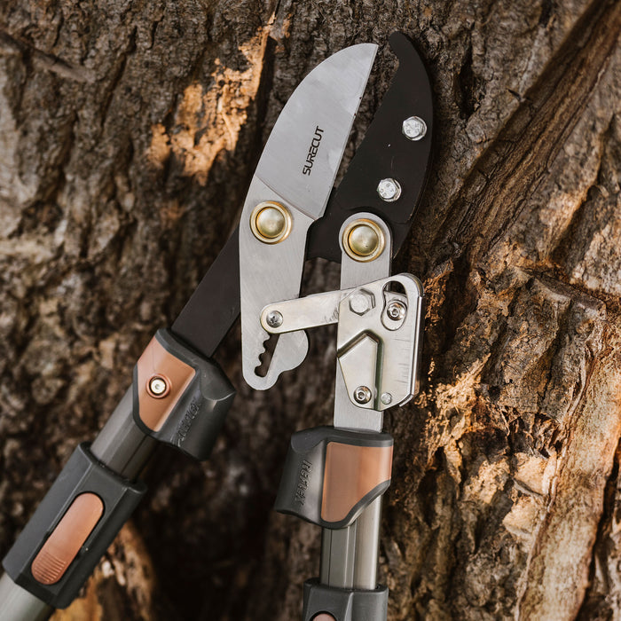 Kent & Stowe SureCut Extra Power Hard Wood Ratchet Loppers close up on tree
