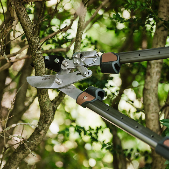 Kent & Stowe SureCut Extra Power Hard Wood Ratchet Loppers chopping tree