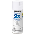Rust-Oleum Painter's Touch® 2X Ultra Cover Gloss Spray Paint