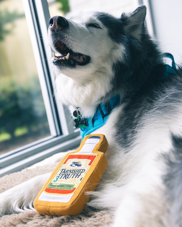 Tarnished Truth Bottle Dog Toy