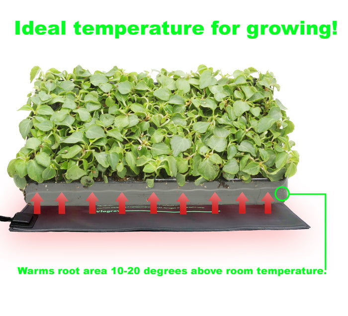 The Harvest Compan Seedling Staion Kit with 10 in. x 20 in. Propagation Flat Tray, 72-Cell Insert, 7 in. Tall Dome, and Heat Mat (VTDK1)