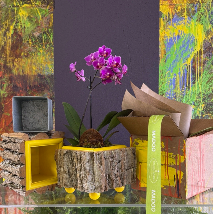 Yellow Cache Pot